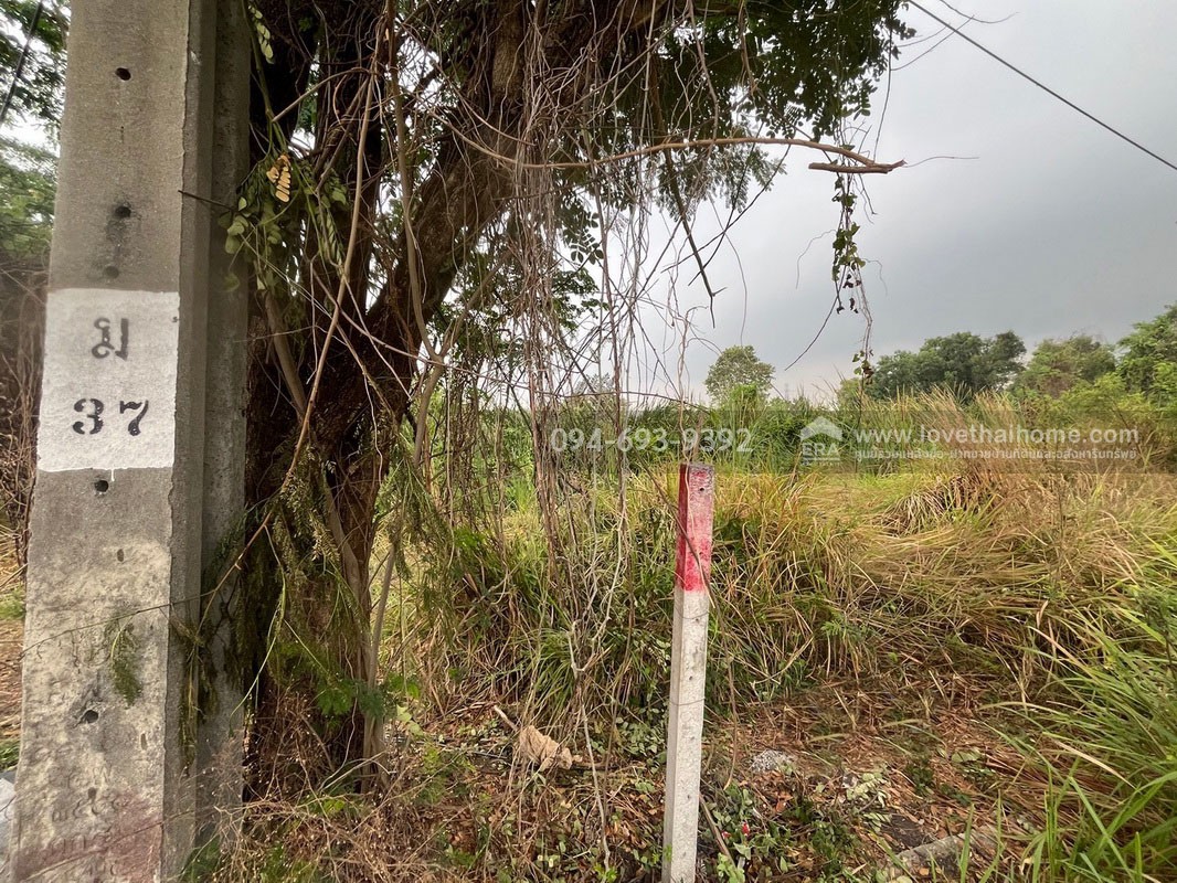 ขายที่ดินสวย ถูก ถนนเลียบวารี35 พื้นที่ 416 ตรว. ลดราคาพิเศษต้อนรับ ปี 69 ขายเพียง 8,500 บาท/ตรว. ด่วนๆเลยค่ะ