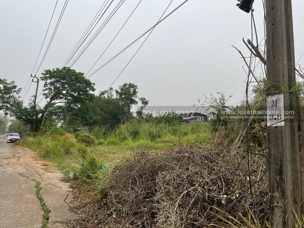 ขายที่ดินสวย ถูก ถนนเลียบวารี35 พื้นที่ 416 ตรว. ลดราคาพิเศษต้อนรับ ปี 69 ขายเพียง 8,500 บาท/ตรว. ด่วนๆเลยค่ะ