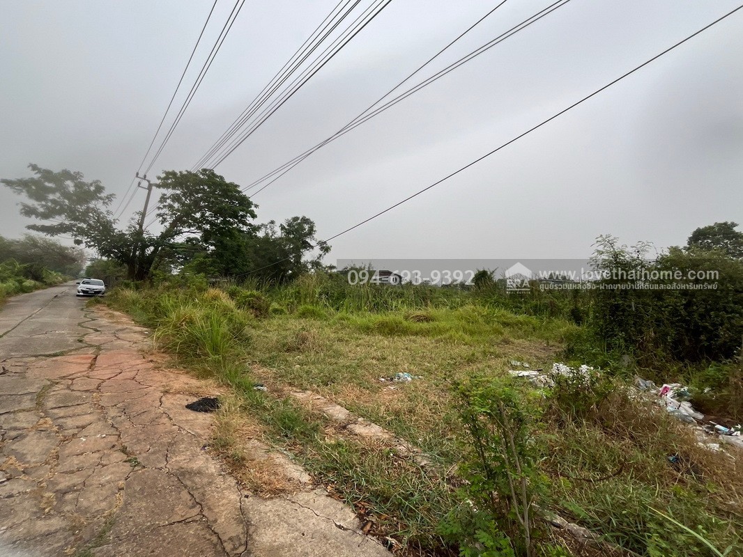 ขายที่ดินสวย ถูก ถนนเลียบวารี35 พื้นที่ 416 ตรว. ลดราคาพิเศษต้อนรับ ปี 69 ขายเพียง 8,500 บาท/ตรว. ด่วนๆเลยค่ะ