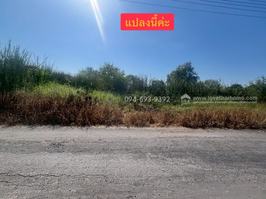 ขายที่ดินเปล่า ซอยคลองหกตะวันออก60 คลองหลวง ปทุมธานี พื้นที่ 724 ตรว. ขาย 6 ล้านบาท ที่สวย ทำเลเหมาะปลูกบ้านพักอาศัยหรือบริษัท เร่งขายด่วน ถูกๆ ไม่อยากจ่ายภาษีรายปีจร้า (คุยด่วนๆค่ะ)