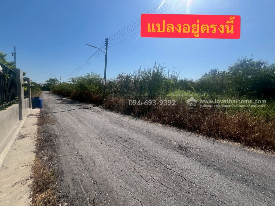 ขายที่ดินเปล่า ซอยคลองหกตะวันออก60 คลองหลวง ปทุมธานี พื้นที่ 724 ตรว. ขาย 6 ล้านบาท ที่สวย ทำเลเหมาะปลูกบ้านพักอาศัยหรือบริษัท เร่งขายด่วน ถูกๆ ไม่อยากจ่ายภาษีรายปีจร้า (คุยด่วนๆค่ะ)