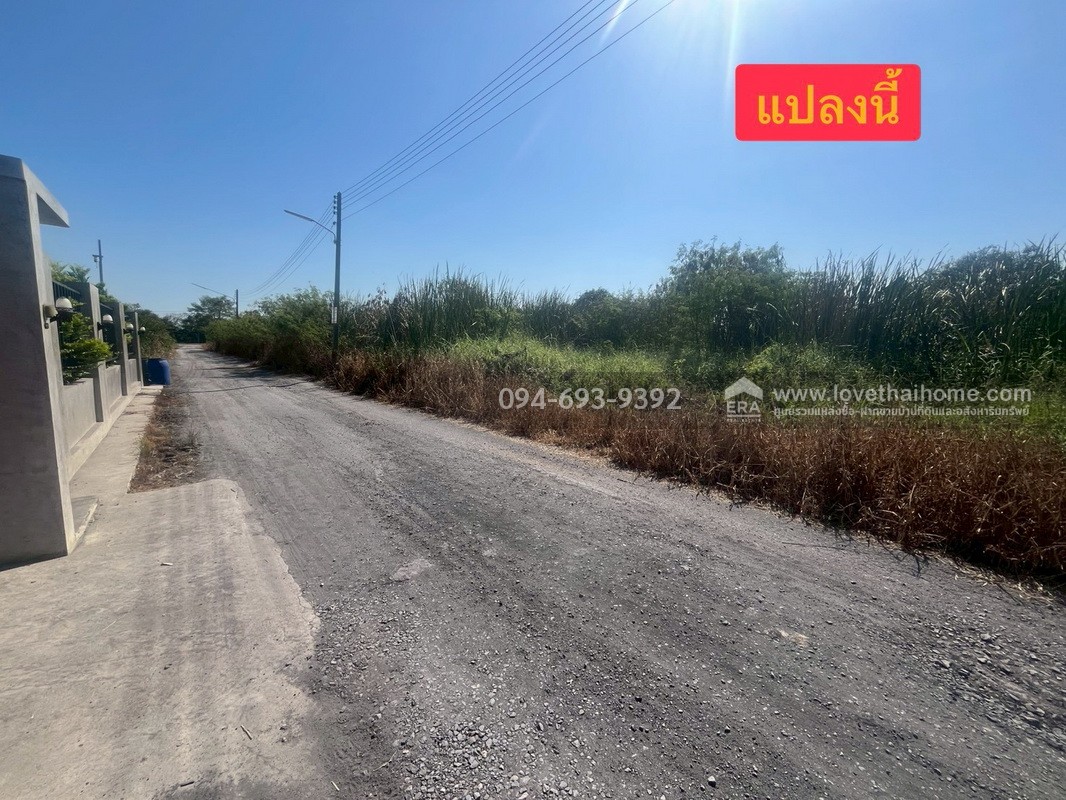 ขายที่ดินเปล่า ซอยคลองหกตะวันออก60 คลองหลวง ปทุมธานี พื้นที่ 724 ตรว. ขาย 6 ล้านบาท ที่สวย ทำเลเหมาะปลูกบ้านพักอาศัยหรือบริษัท เร่งขายด่วน ถูกๆ ไม่อยากจ่ายภาษีรายปีจร้า (คุยด่วนๆค่ะ)
