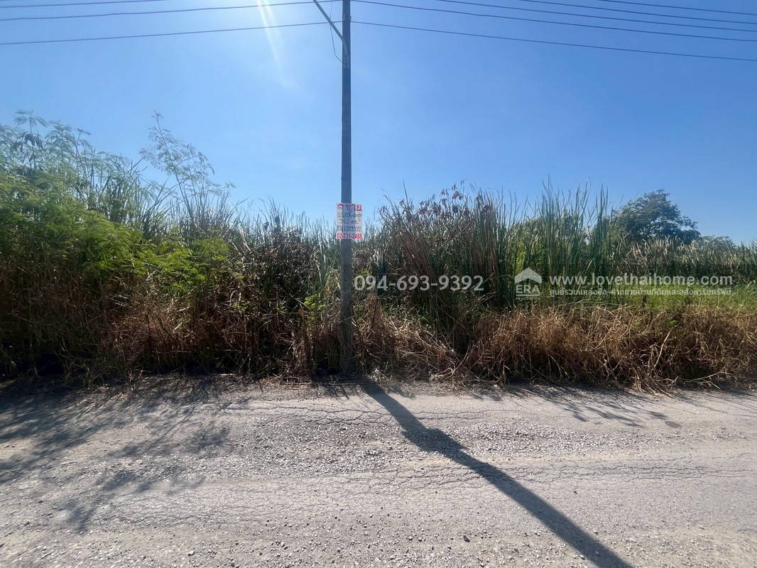 ขายที่ดินเปล่า ซอยคลองหกตะวันออก60 คลองหลวง ปทุมธานี พื้นที่ 724 ตรว. ขาย 6 ล้านบาท ที่สวย ทำเลเหมาะปลูกบ้านพักอาศัยหรือบริษัท เร่งขายด่วน ถูกๆ ไม่อยากจ่ายภาษีรายปีจร้า (คุยด่วนๆค่ะ)