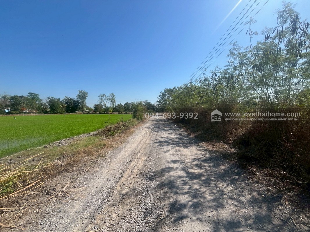 ขายที่ดินเปล่า ซอยคลองหกตะวันออก60 คลองหลวง ปทุมธานี พื้นที่ 724 ตรว. ขาย 6 ล้านบาท ที่สวย ทำเลเหมาะปลูกบ้านพักอาศัยหรือบริษัท เร่งขายด่วน ถูกๆ ไม่อยากจ่ายภาษีรายปีจร้า (คุยด่วนๆค่ะ)