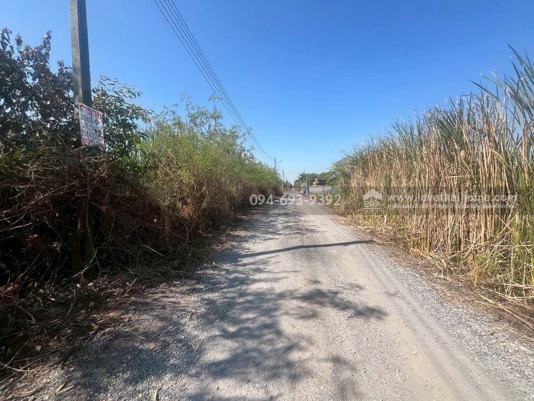 ขายที่ดินเปล่า ซอยคลองหกตะวันออก60 คลองหลวง ปทุมธานี พื้นที่ 724 ตรว. ขาย 6 ล้านบาท ที่สวย ทำเลเหมาะปลูกบ้านพักอาศัยหรือบริษัท เร่งขายด่วน ถูกๆ ไม่อยากจ่ายภาษีรายปีจร้า (คุยด่วนๆค่ะ)