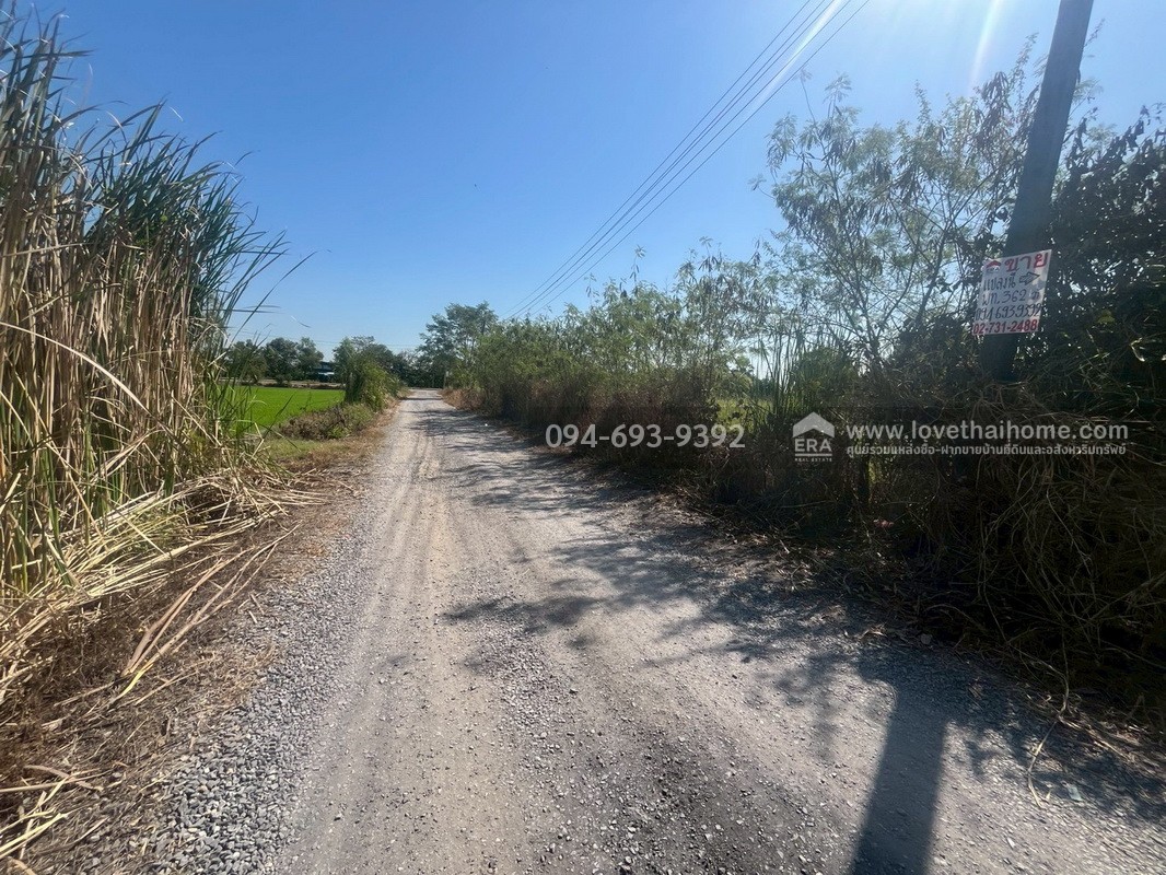 ขายที่ดินเปล่า ซอยคลองหกตะวันออก60 คลองหลวง ปทุมธานี พื้นที่ 724 ตรว. ขาย 6 ล้านบาท ที่สวย ทำเลเหมาะปลูกบ้านพักอาศัยหรือบริษัท เร่งขายด่วน ถูกๆ ไม่อยากจ่ายภาษีรายปีจร้า (คุยด่วนๆค่ะ)