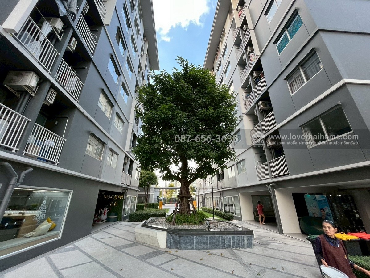 ขายคอนโด Plum Condo Rangsit เฟส 2 อาคาร C มี 2 ห้องนอน 44.16 ตร.ม. ชั้น 1 ห้องใหญ่สุดในโครงการ ราคาไม่ถึง 2 ล้าน! วิวสระว่ายน้ำ ถูกจริง ไม่พูดเยอะ! 