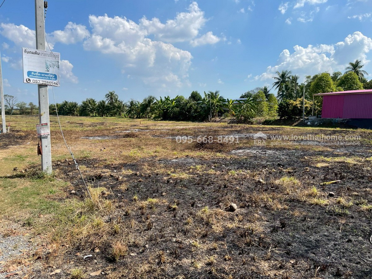 ขายที่ดิน หนองเสือ ติดถนนเลียบคลอง8 ปทุมธานี รถเข้าออกสะดวก สภาพแวดล้อมดี ที่ดินสวย ทำเลดี พื้นที่ 4-3-5ไร่ มีน้ำประปาและไฟฟ้าพร้อมใช้งาน ราคา 18.5 ล้าน ราคาต่อรองได้