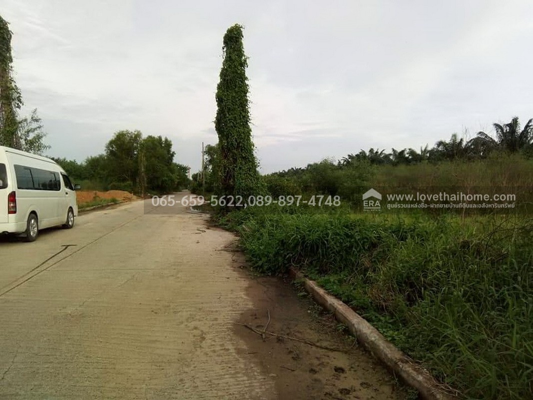 ขายที่ดิน ลำลูกกา(คลอง10) ซ.มรรคานุคา ปทุมธานี ติดถนนเมน ใกล้วัดนาป่าพง พื้นที่157.50ตร.วา ราคา920,000บาท ขายต่ำกว่าราคาตลาด มาเป็นเจ้าของด่วน! ช้าอาจหมด