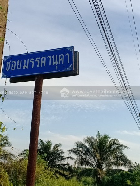 ขายที่ดิน ลำลูกกา(คลอง10) ซ.มรรคานุคา ปทุมธานี ติดถนนเมน ใกล้วัดนาป่าพง พื้นที่157.50ตร.วา ราคา920,000บาท ขายต่ำกว่าราคาตลาด มาเป็นเจ้าของด่วน! ช้าอาจหมด
