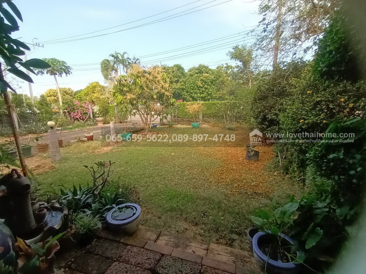 ขายบ้านเดี่ยว ประชาร่วมใจ31 หมู่บ้านกฤษดานคร 25-คลองสามวา พื้นที่180ตรว. ขายถูกมากเพียง6.9ล้าน ถูกที่สุดในโครงการ ใกล้รถไฟฟ้าสายสีชมพู-สถานีมีนบุรีและสนามกอล์ฟธานนท์คลับ รีบตัดสินใจมาเป็นเจ้าของด่วน!