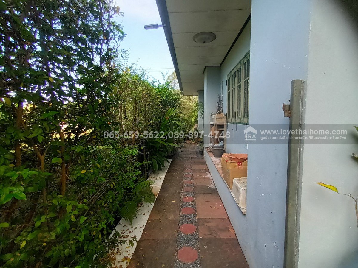 ขายบ้านเดี่ยว ประชาร่วมใจ31 หมู่บ้านกฤษดานคร 25-คลองสามวา พื้นที่180ตรว. ขายถูกมากเพียง6.9ล้าน ถูกที่สุดในโครงการ ใกล้รถไฟฟ้าสายสีชมพู-สถานีมีนบุรีและสนามกอล์ฟธานนท์คลับ รีบตัดสินใจมาเป็นเจ้าของด่วน!