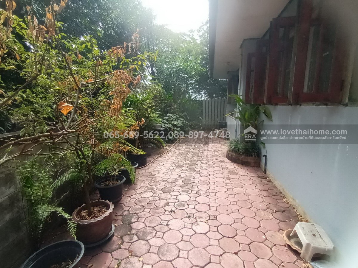 ขายบ้านเดี่ยว ประชาร่วมใจ31 หมู่บ้านกฤษดานคร 25-คลองสามวา พื้นที่180ตรว. ขายถูกมากเพียง6.9ล้าน ถูกที่สุดในโครงการ ใกล้รถไฟฟ้าสายสีชมพู-สถานีมีนบุรีและสนามกอล์ฟธานนท์คลับ รีบตัดสินใจมาเป็นเจ้าของด่วน!