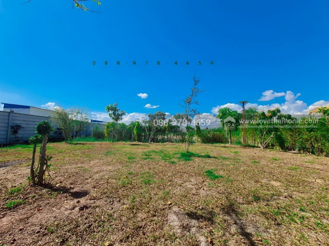 ขายบ้านเดี่ยว 2 ชั้น ลำลูกกา คลอง14 บึงคอไห ปทุมธานี พื้นที่ 200 ตรว. ขาย 3.8 ล้านบาท ติดบริษัทไทยภักดี ใกล้สนามกอล์ฟเรนวูด ปาร์ค เพียง 7 กม. บรรยากาศดี พร้อมอยู่ อายุ 2 ปี (บ้านใหม่)