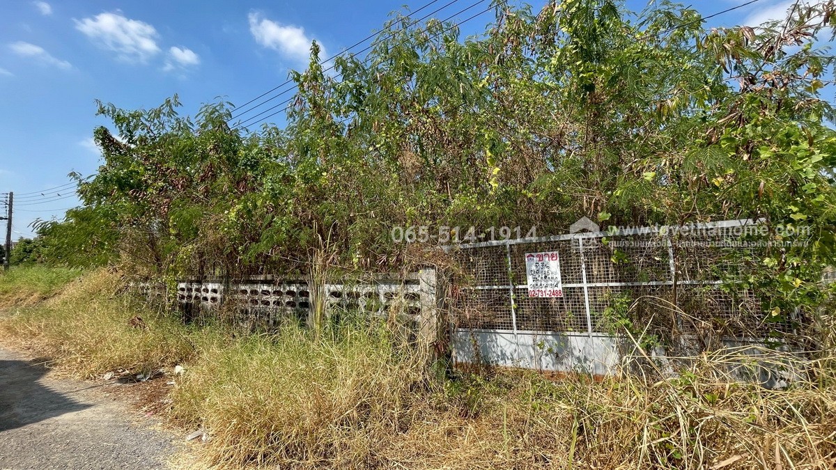 ขายที่ดิน ถนนกำแพงเพชร6 ตำบลหลักหก ปทุมธานี ที่ดินสวย ทำเลดี ใกล้สถานีรถไฟหลักหก (ม.รังสิต) เพียง 350 เมตร เนื้อที่ 185.6 ตร.ว. หน้ากว้าง 23 เมตร ลึก 32 เมตร หันหน้าไปทางทิศตะวันออกเฉียงใต้ ขายราคา 25 ล้าน