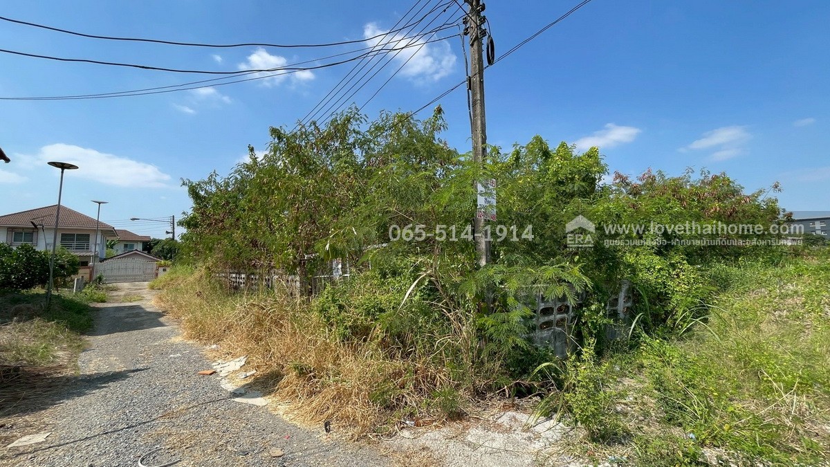 ขายที่ดิน ถนนกำแพงเพชร6 ตำบลหลักหก ปทุมธานี ที่ดินสวย ทำเลดี ใกล้สถานีรถไฟหลักหก (ม.รังสิต) เพียง 350 เมตร เนื้อที่ 185.6 ตร.ว. หน้ากว้าง 23 เมตร ลึก 32 เมตร หันหน้าไปทางทิศตะวันออกเฉียงใต้ ขายราคา 25 ล้าน