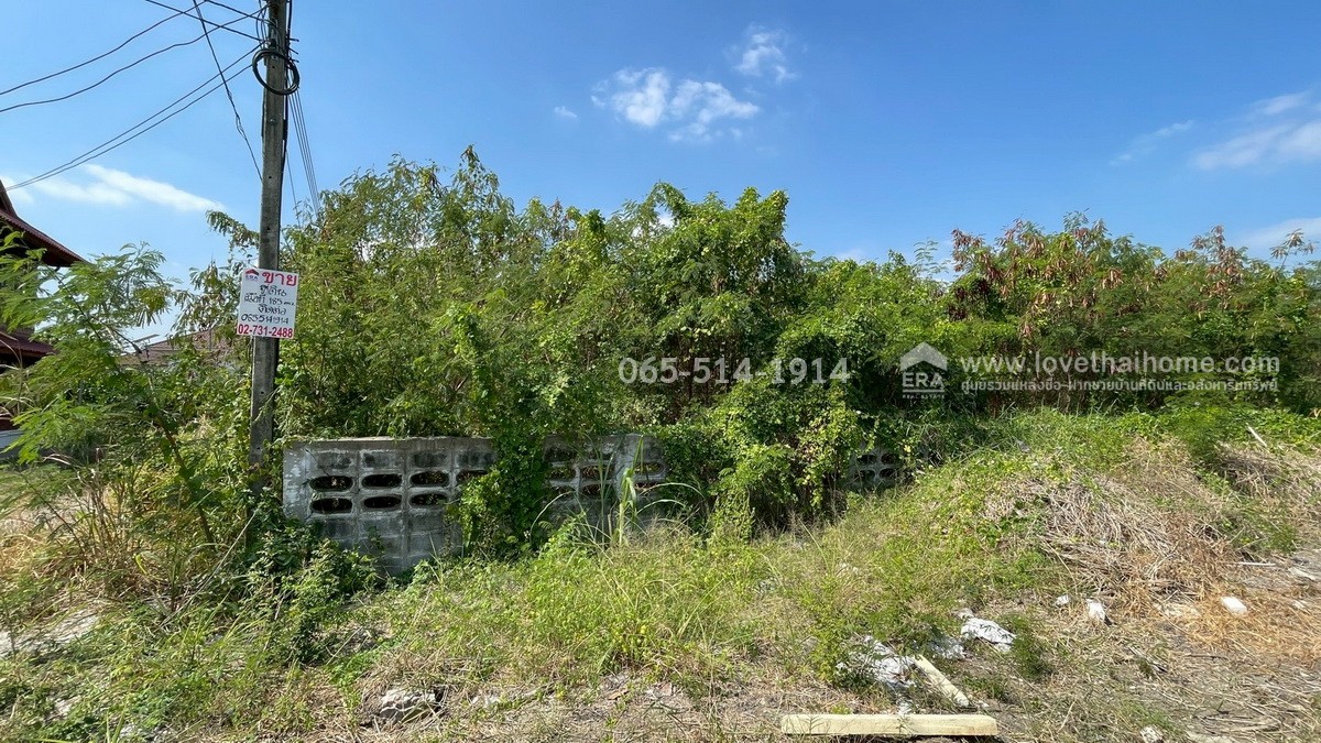 ขายที่ดิน ถนนกำแพงเพชร6 ตำบลหลักหก ปทุมธานี ที่ดินสวย ทำเลดี ใกล้สถานีรถไฟหลักหก (ม.รังสิต) เพียง 350 เมตร เนื้อที่ 185.6 ตร.ว. หน้ากว้าง 23 เมตร ลึก 32 เมตร หันหน้าไปทางทิศตะวันออกเฉียงใต้ ขายราคา 25 ล้าน