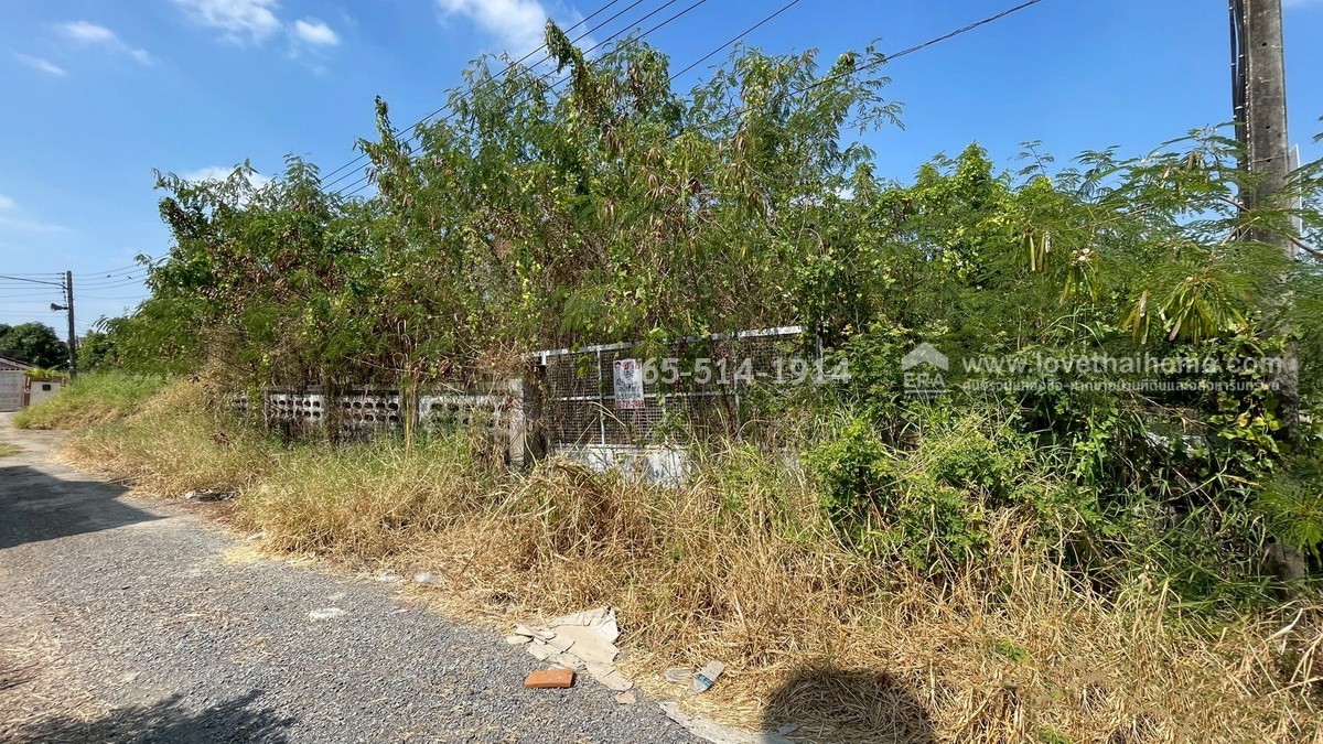 ขายที่ดิน ถนนกำแพงเพชร6 ตำบลหลักหก ปทุมธานี ที่ดินสวย ทำเลดี ใกล้สถานีรถไฟหลักหก (ม.รังสิต) เพียง 350 เมตร เนื้อที่ 185.6 ตร.ว. หน้ากว้าง 23 เมตร ลึก 32 เมตร หันหน้าไปทางทิศตะวันออกเฉียงใต้ ขายราคา 25 ล้าน