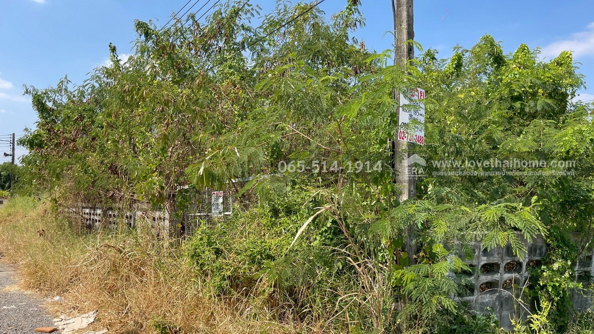 ขายที่ดิน ถนนกำแพงเพชร6 ตำบลหลักหก ปทุมธานี ที่ดินสวย ทำเลดี ใกล้สถานีรถไฟหลักหก (ม.รังสิต) เพียง 350 เมตร เนื้อที่ 185.6 ตร.ว. หน้ากว้าง 23 เมตร ลึก 32 เมตร หันหน้าไปทางทิศตะวันออกเฉียงใต้ ขายราคา 25 ล้าน