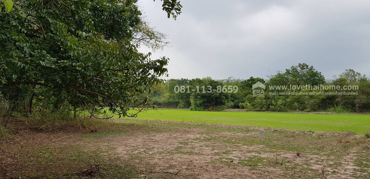 ขายที่ดิน อำเภอเมืองสุพรรณบุรี พื้นที่ 4 ไร่ ขายเพียง 2 ล้านบาท ถมแล้ว ถ้าชอบต่อรองได้