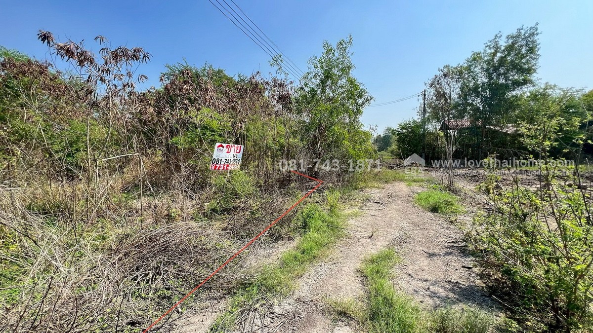 ขายที่ดิน สวนเกษตร-สวนเอก ปทุมธานี-บางเลน ราคาถูกที่สุด บนพื้นที่ 140 ตรว. ขายแค่ 5 แสนบาทเท่านั้น ต้นโครงการ หลังแปลงติดบึงน้ำ บางเลน จ.นครปฐม